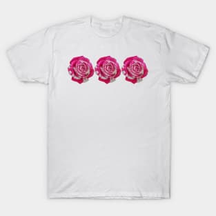 Three Pink and White Roses Floral Photo T-Shirt